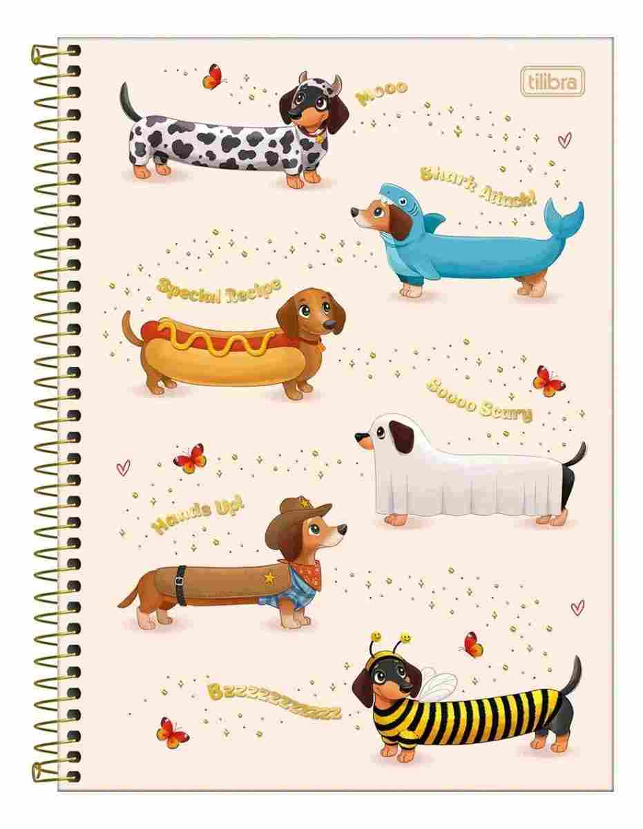 CADERNO 10X1 COLEGIAL BROWNIE